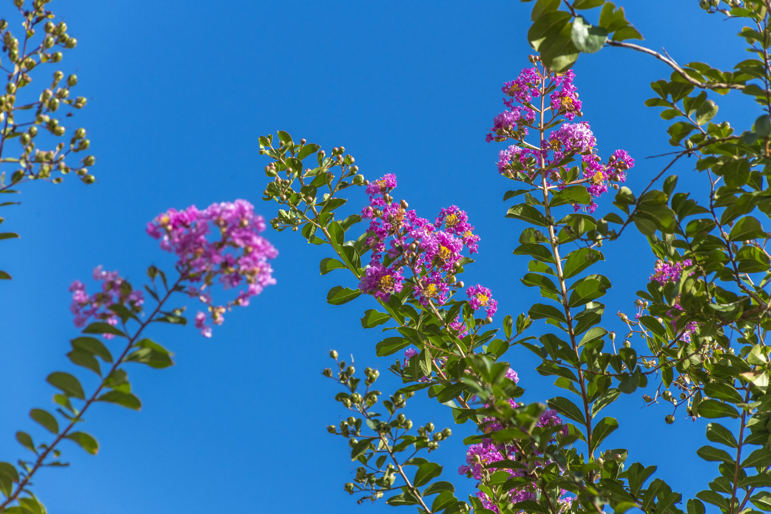 ABC_Colinas_Camboriu_139